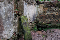 20201030_141919