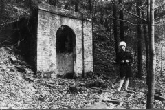 history2